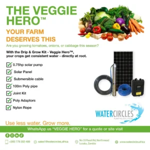 The Veggie Hero